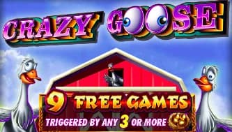 Crazy Goose - Ainsworth